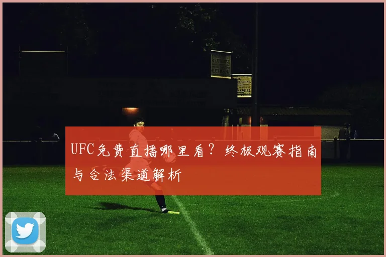 UFC免费直播哪里看？终极观赛指南与合法渠道解析